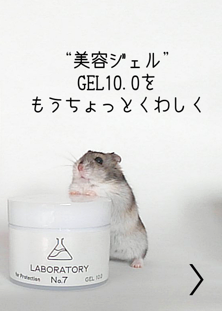 薬剤師の美容ジェルに手をつくハムスター。美容ジェルの説明へのリンク